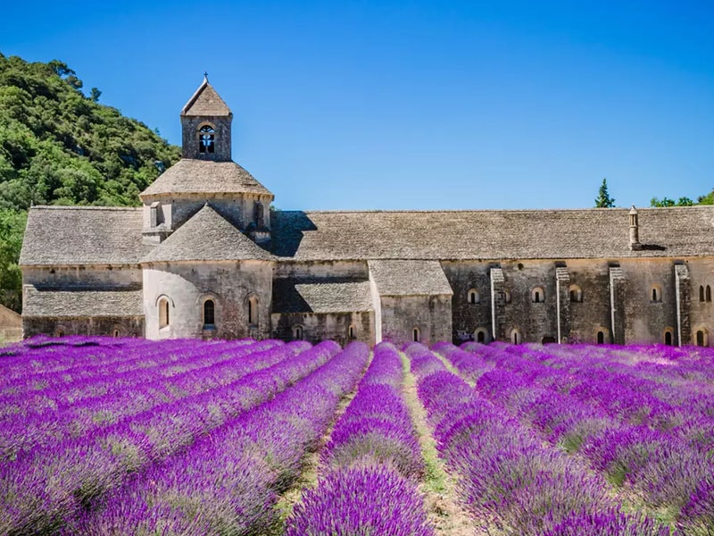 Abbaye de Sénanque